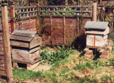 Hives 1 & 2