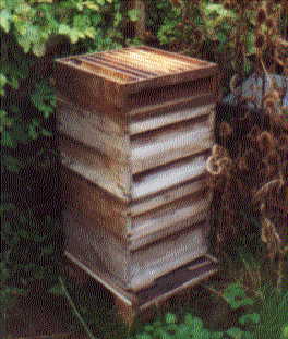 Wet Supers back on the bees.