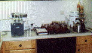 Jars of honey... The harvest