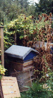 Clearer board in place