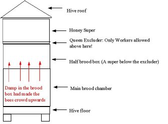 brood Box swapping diagram
