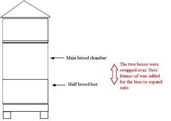 Brood box swapping diagram 2