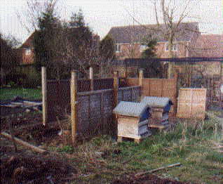 Hive enclosure