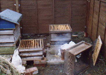 spring cleaning hive2