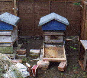 spring cleaning hive2