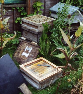 Hive 3 receives its clearer board