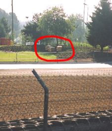 Behives on the Mulsane straight