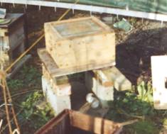 Hive 4 after its Spring Clean