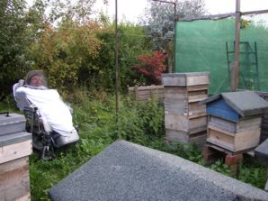 John in the apiary