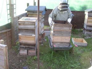 Hive 3: supers removed