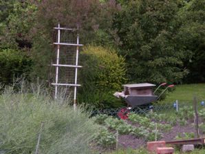 Back in the honeysuckle again