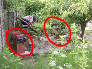 bees at the bungalow