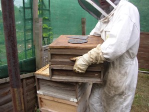 Paul removes a super