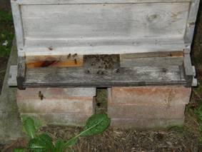 hive entrance restricted