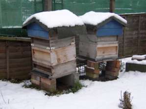 Two snowy hives