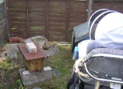 John with nucleus box