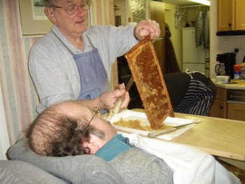 extracting honey
