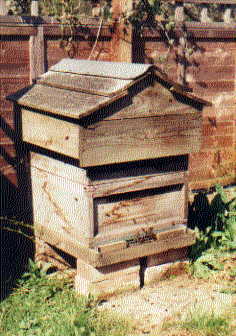 A hive