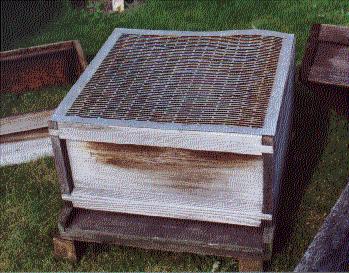 brood box with excluder