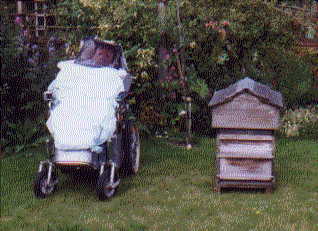 beekeeperv and beehive